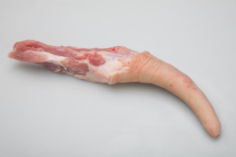 rabo largo